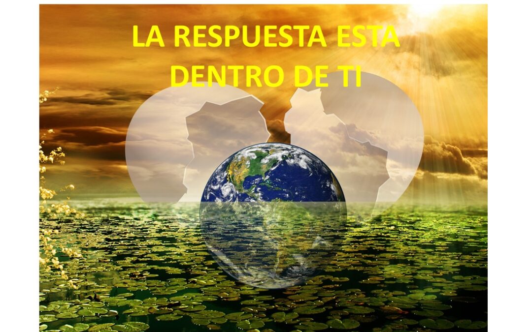 LA RESPUESTA LA LLEVAMOS DENTRO