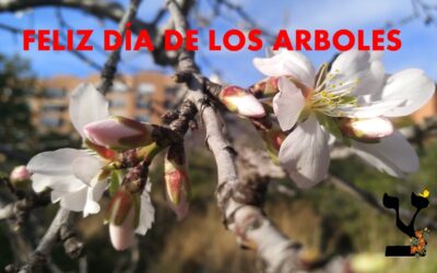 FELIZ DIA DE LOS ARBOLES