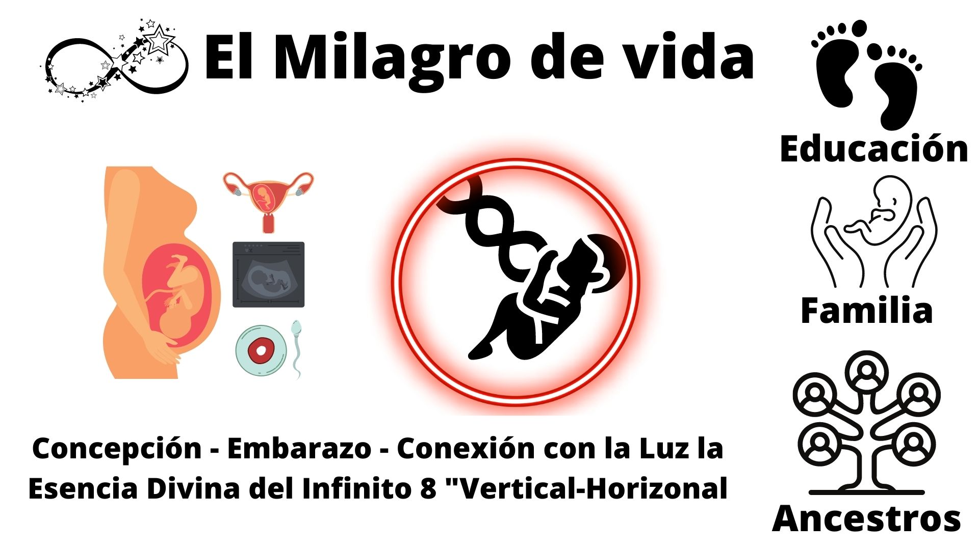 talleres-el-milagro-de-la-vida