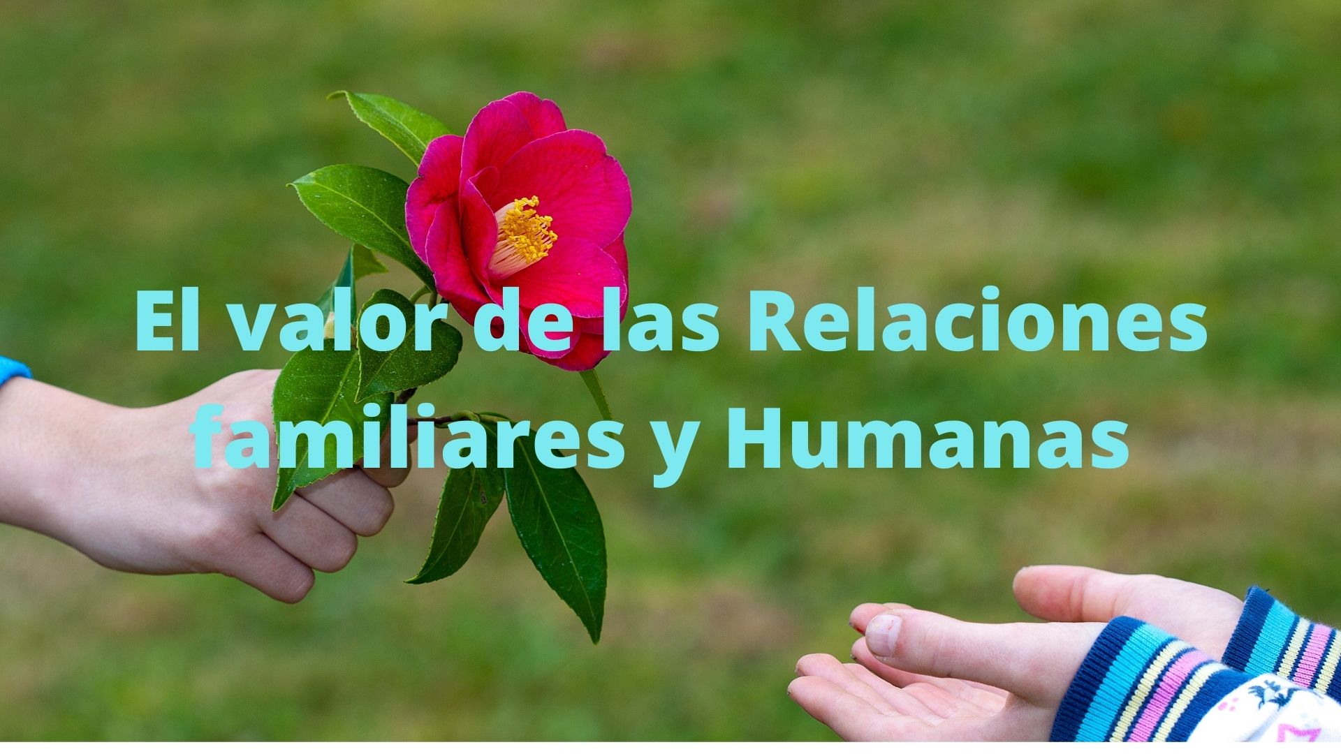 talleres-orientacion-familiar-relaciones-humanas-2